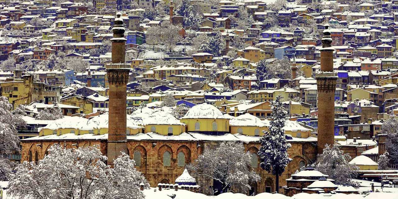 7 Bin Fotoğraf Arasından Seçildi: Türkiye’nin Viki Şampiyonu