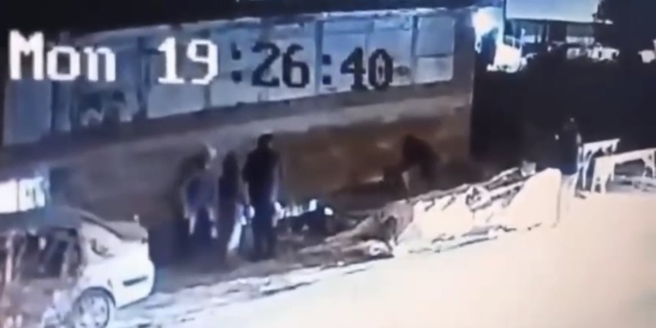 Sokakta Tehlike: Başıboş Köpekler Yaralanmalara Yol Açtı