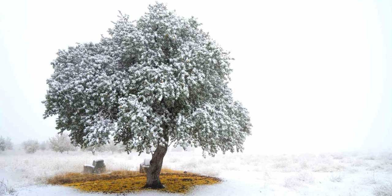 2025’in Hafızası Fotoğraflarla Yazıldı