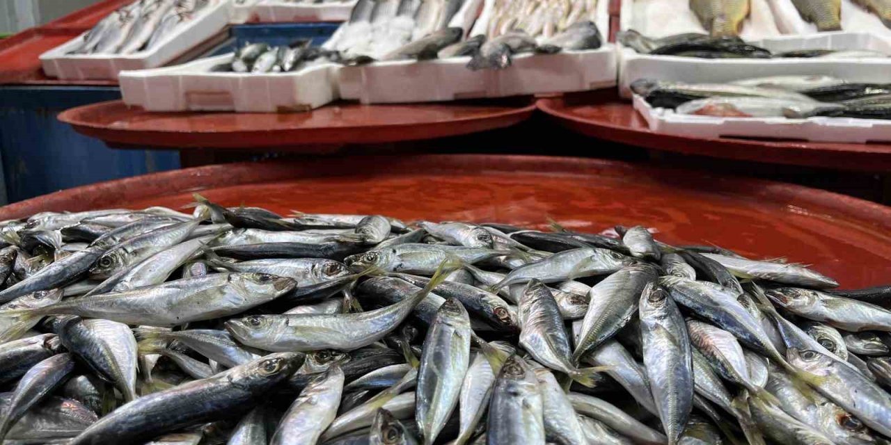 Geç Gelen Kış Hamsiyi Kaçırdı, Konya’da Tezgâhlar Daraldı