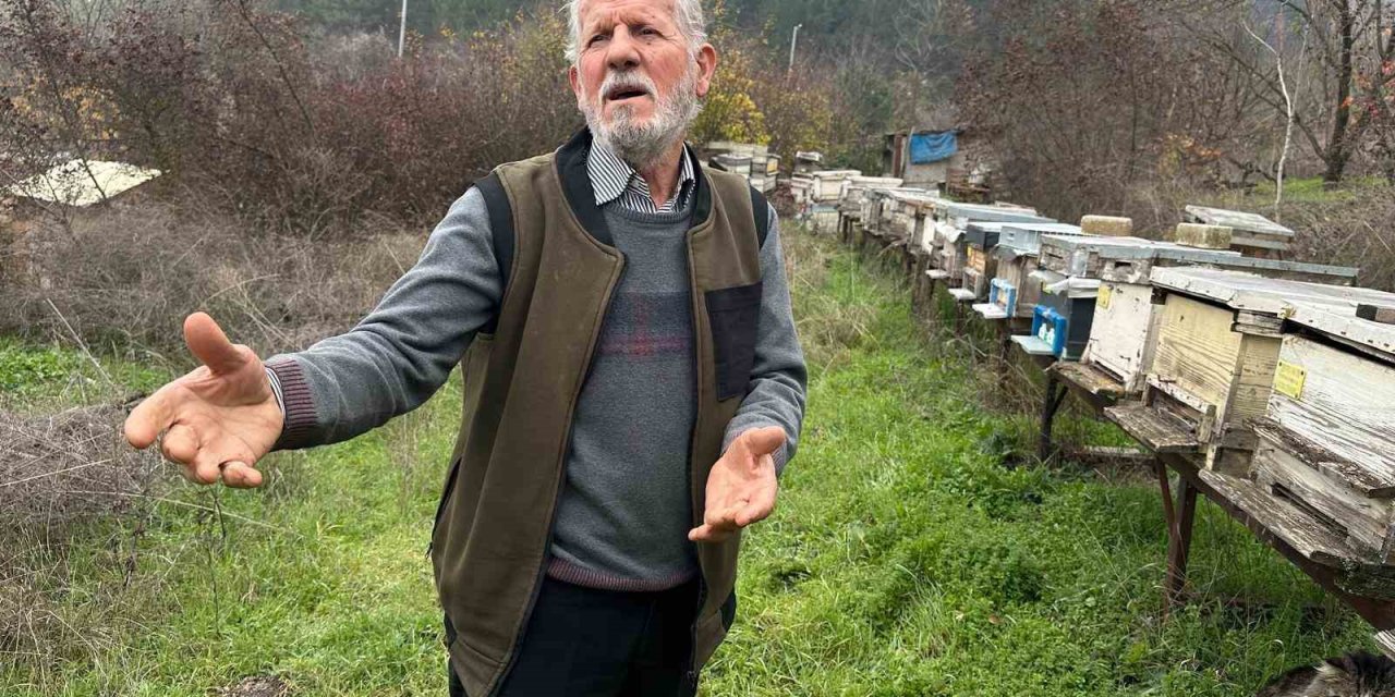 İlaçlanan bahçeler arıları öldürdü, üretim durma noktasında