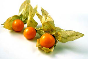 Mucizevi meyve Altın Çilek