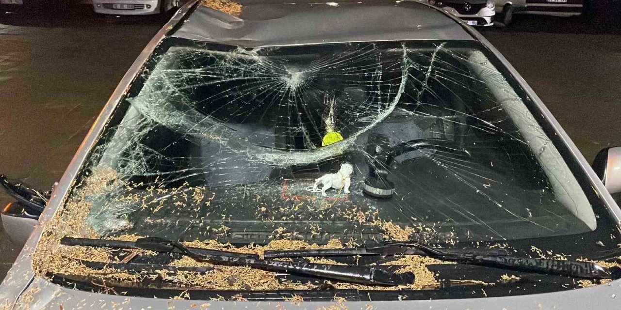 Fırtına Karaman'ı da vurdu: Şehir perte çıktı