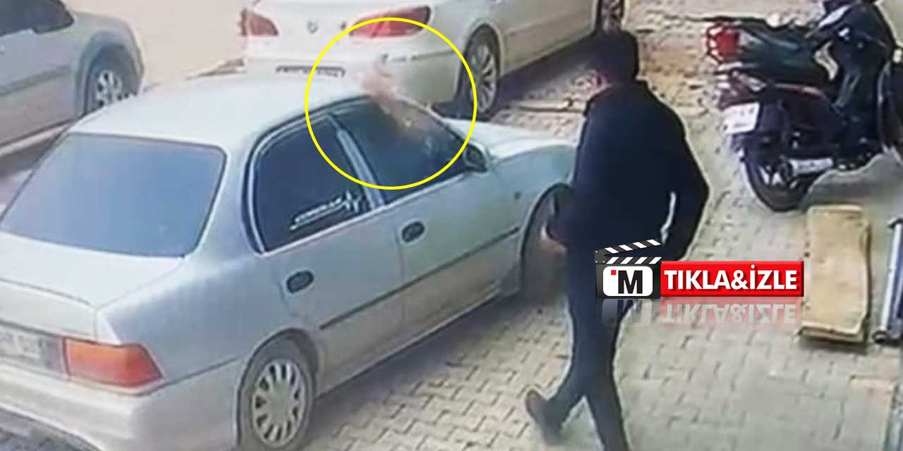 Bir Adım Daha Atsaydı Saksı Kafasına Düşecekti