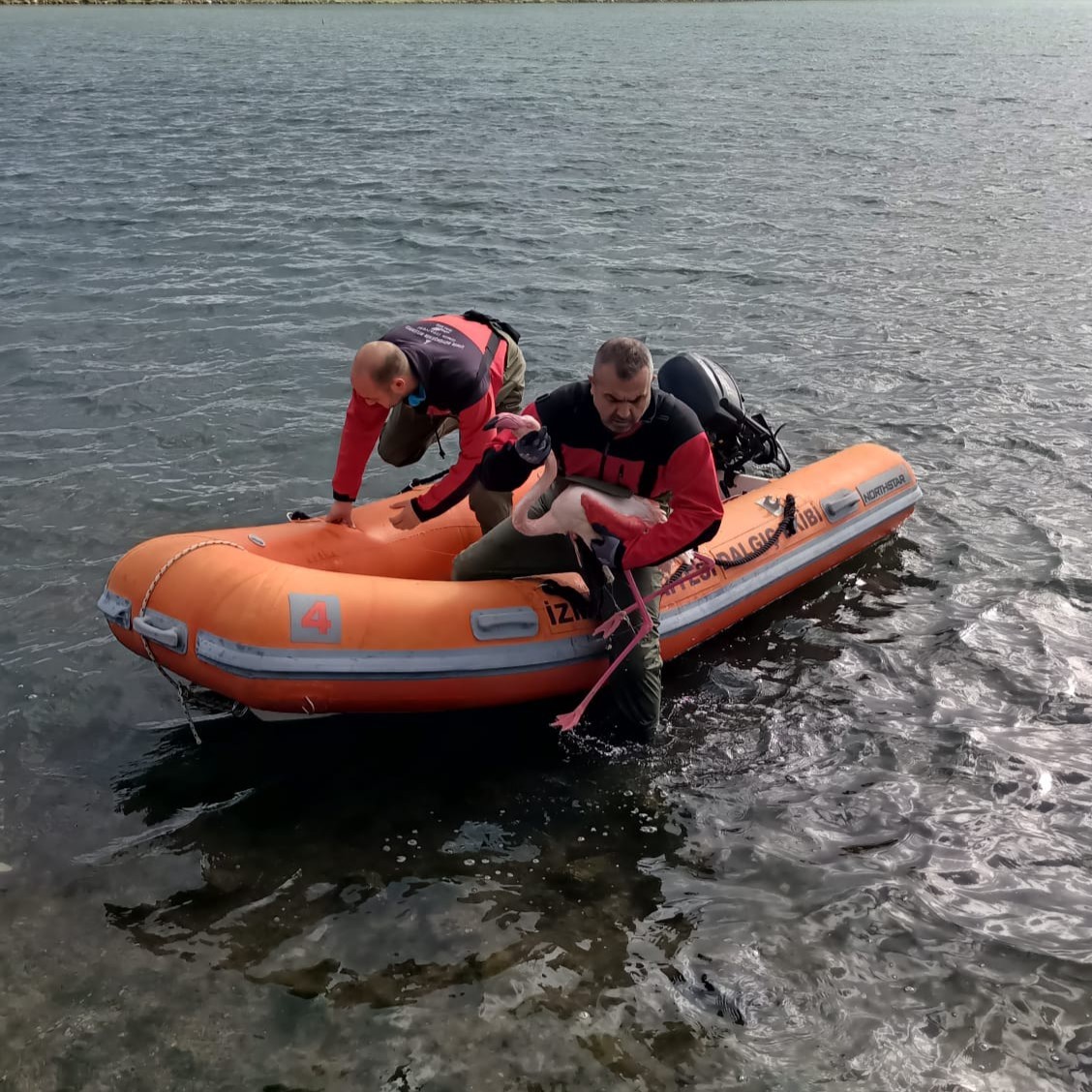 Ya itfaiye olmasaydı: Havadan gelen misafirleri böyle öldürüyorlar