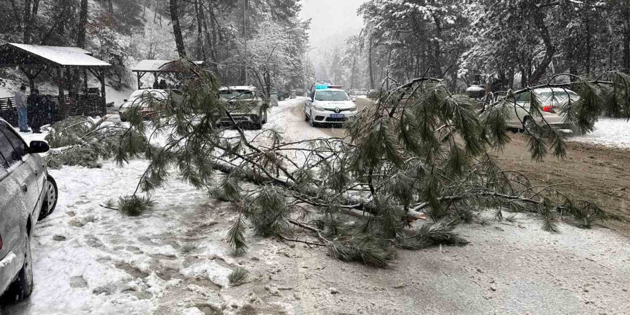 Kızılcahamam'da çam deviren kar