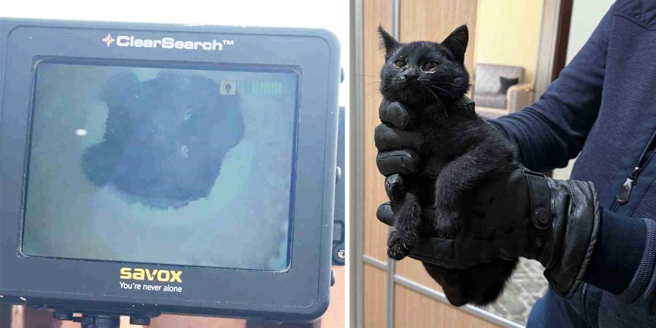 Konya’da bacaya giren kedi 6 saatlik operasyonla kurtarıldı