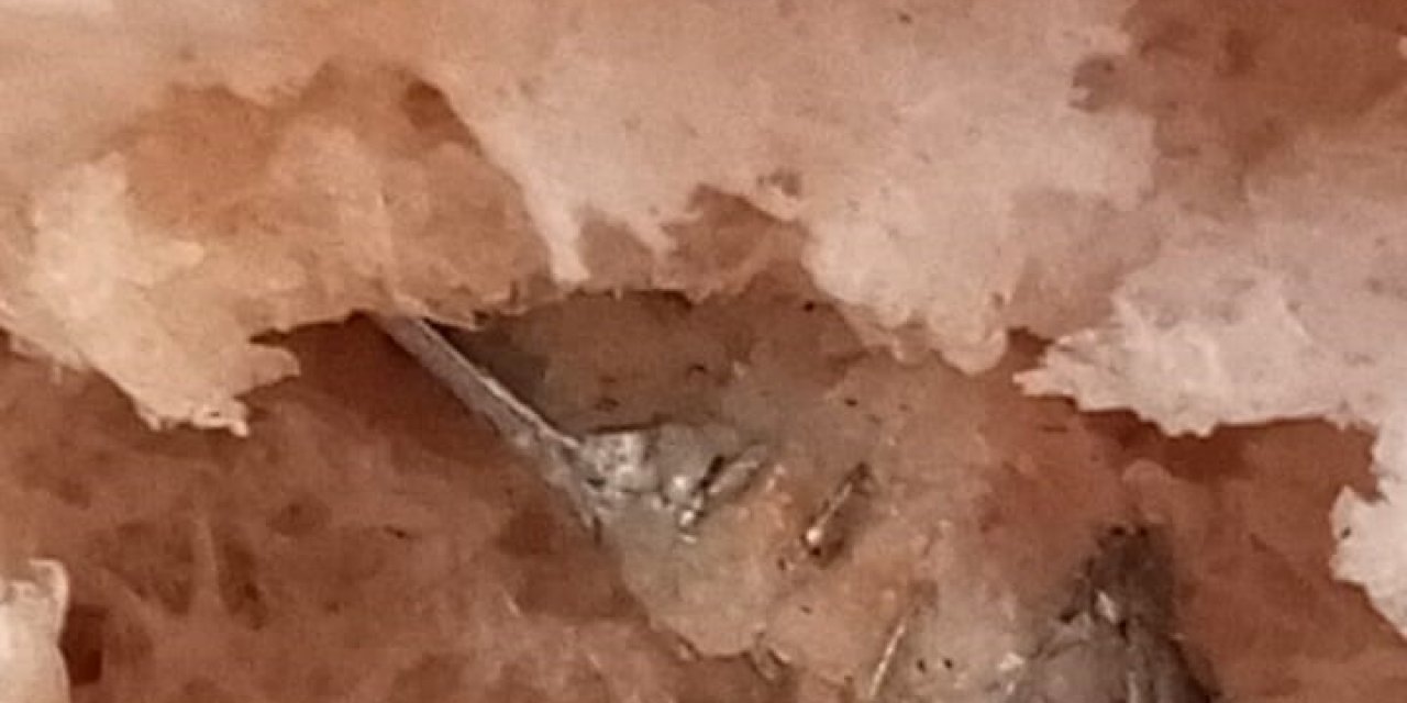 Fırından alınan ekmekten vida çıktı! Bölerken fark etti