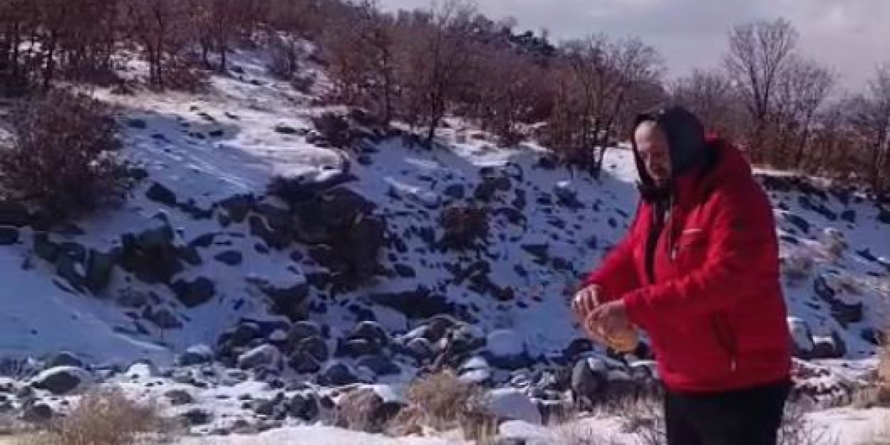 Soğuk Kışta Sıcak Destek! Karacadağ’da Yaban Hayatına Destek