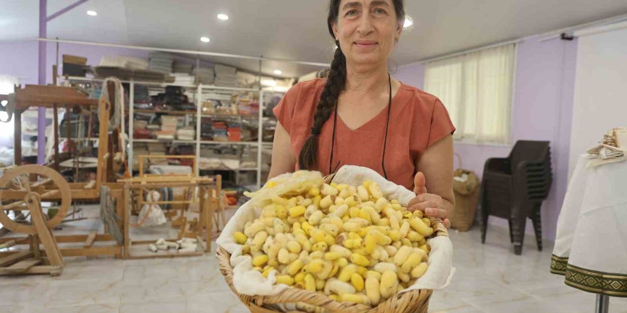 7 Yıllık Arayış Ödülle Taçlandı: Hatay Sarısı’na Dev Onur