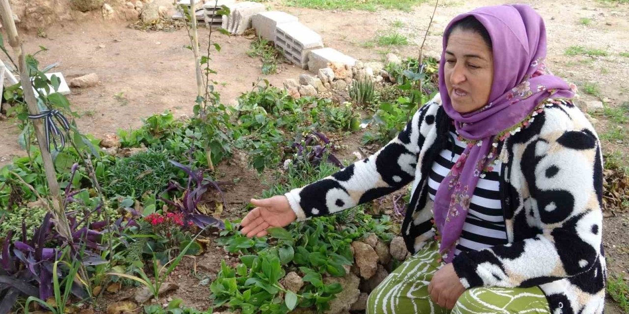 Uyuşturucuya Sığınak Olan Mezarlık Kontrol Altında