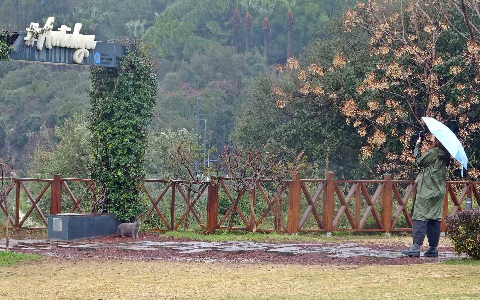 Antalya yağmurdan sonra nefes alabildi