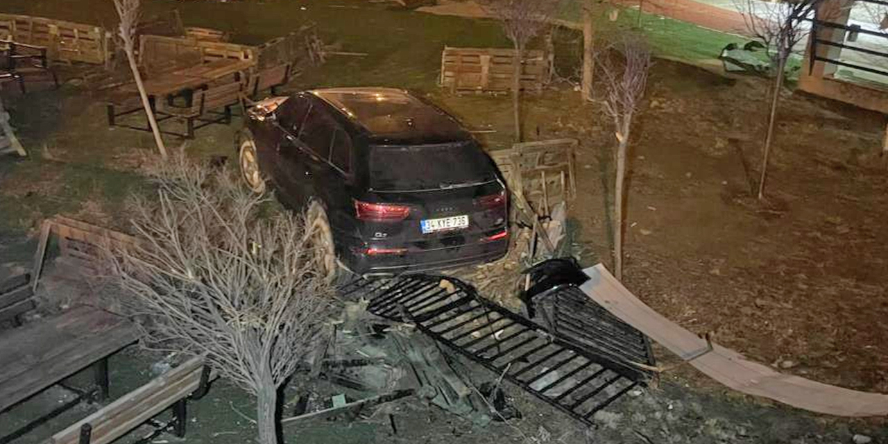 Cipten sürpriz ziyaret: Kafe bahçesine havadan giriş