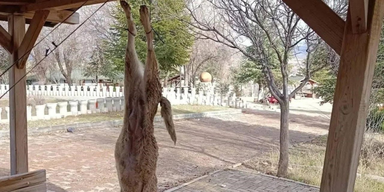 Bolvadin'deki vahşete çok yönlü soruşturma