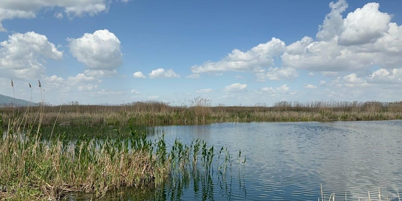 Eber Gölü Yağışlarla Nefes Aldı, Kiraz Üreticisi Sevindi