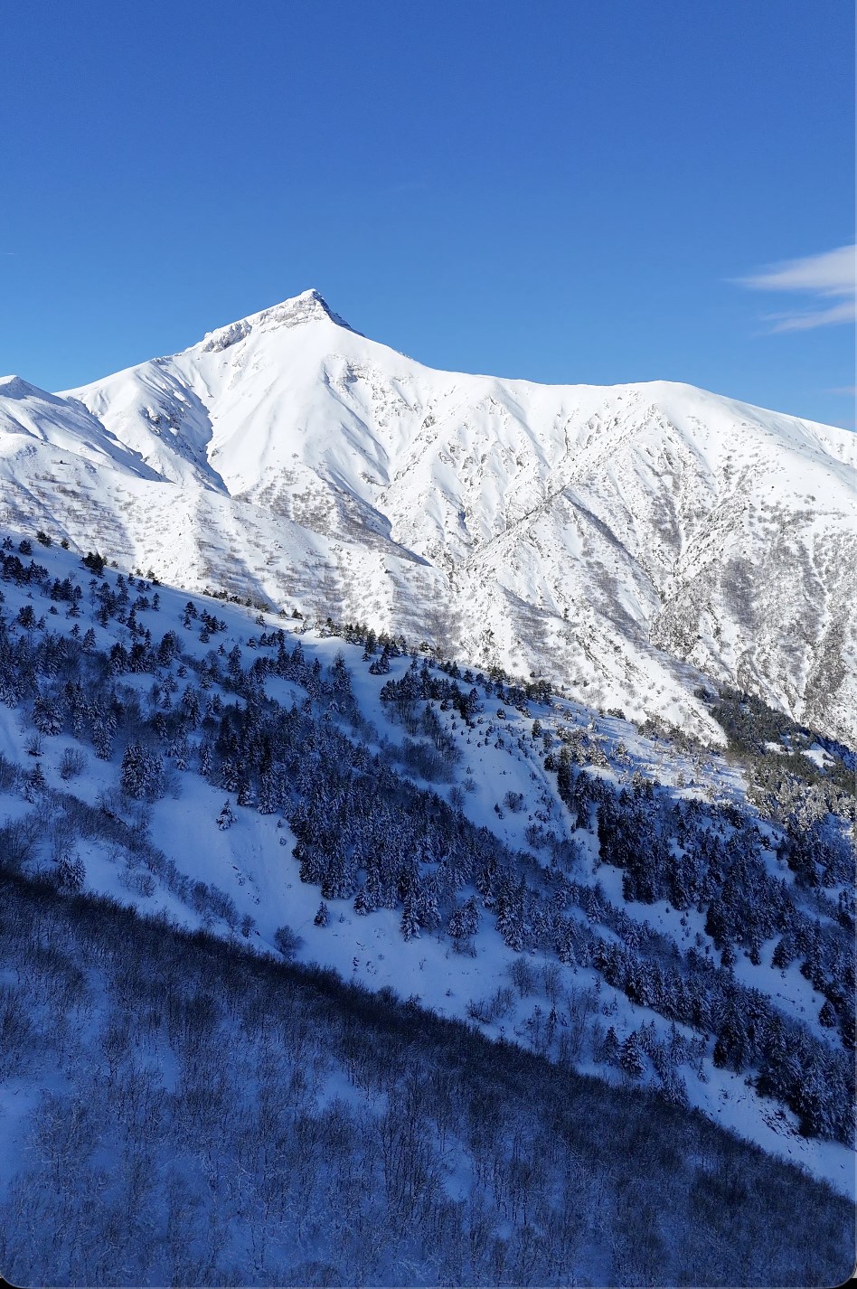 Afyonkarahisar'a kar yağdı Konya'nın umudu arttı