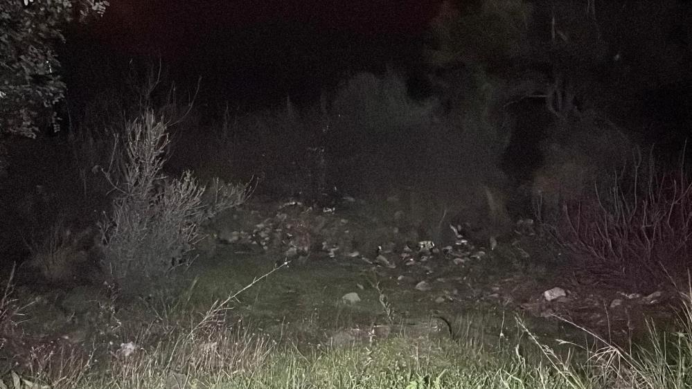 Tuvaletini yapmak istedi Alanya seyir terasından uçtu