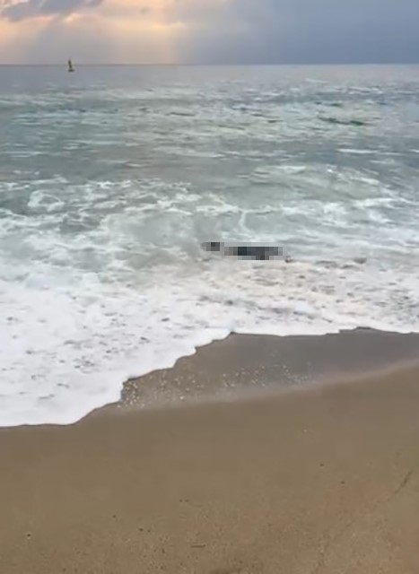 Paramotorla uçarken cesede denk geldi! İhbarla kim olduğu ortaya çıktı