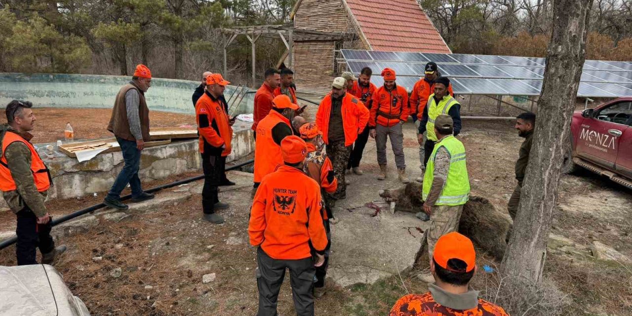 Konya’da domuz istilası arttı, çiftçiler sürek avı düzenledi