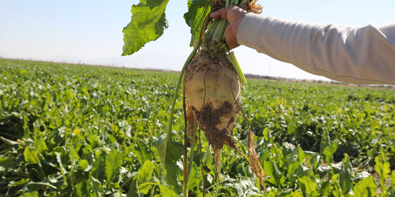 Konya’da Tarıma Dev Kaynak! 12 Milyar TL Üzeri Ödeme