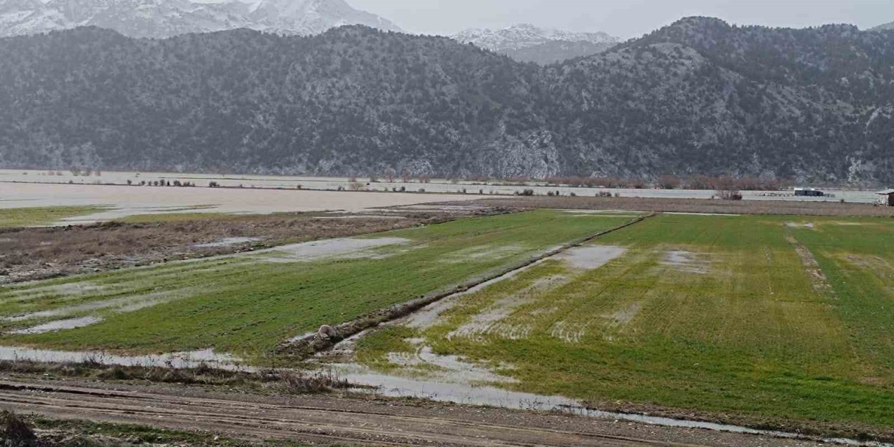 Gembos Ovası Sular Altında: Hasar Tespiti Başladı