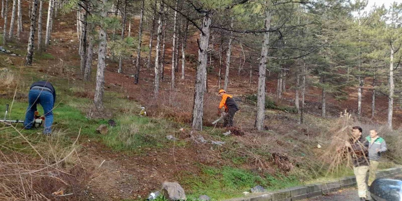 Harezmi Projesiyle Ormanlarda “Merdiven Etkisi” Önlemi