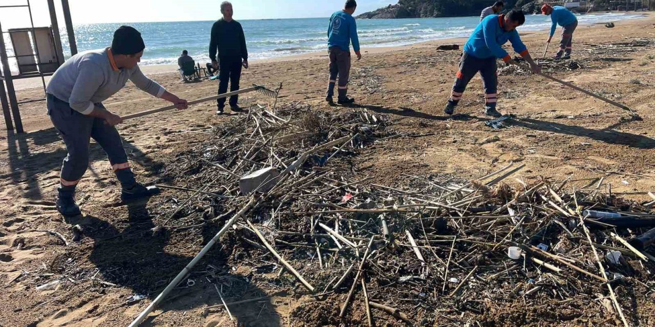 Önce denize indiler, sonra sahile vurdular! Ekipler temizlikte