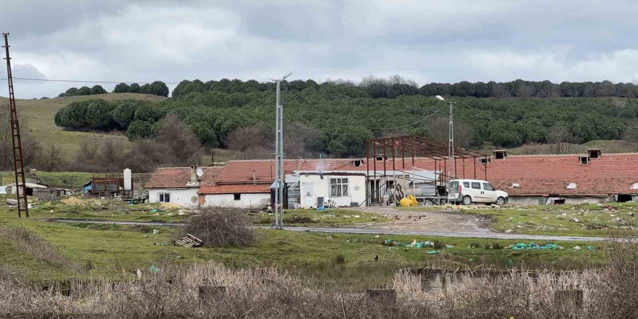 Korku filmi gibi: Çiftlik evinde testereli dehşet