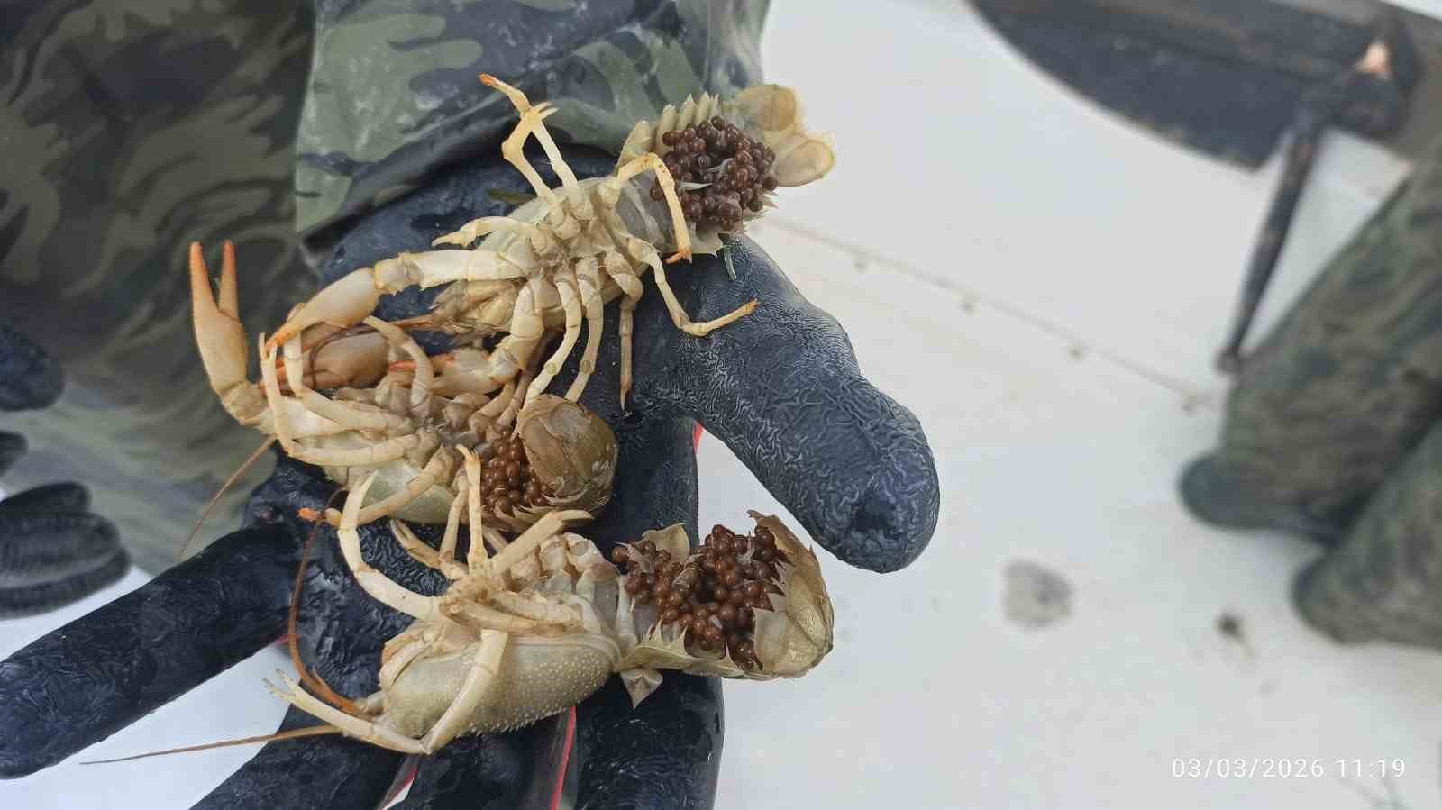 Eğirdir Gölü üzerinde operasyon! Pinterlere el konuldu