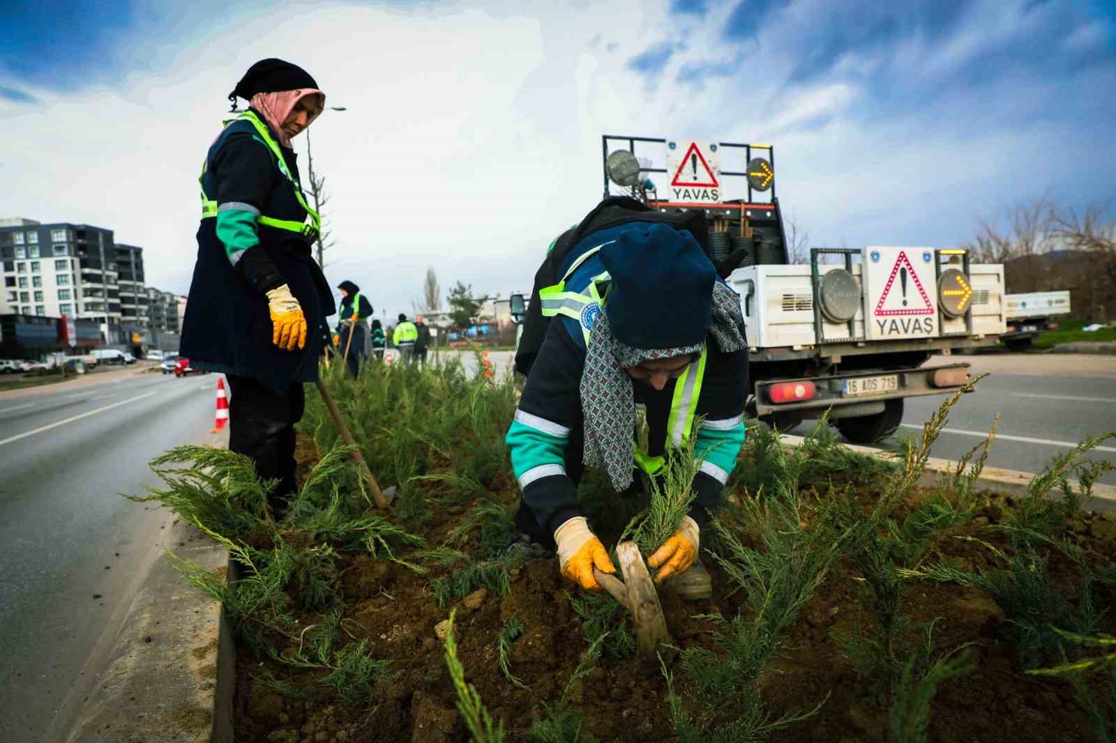 Kuraklık riski kalktı mı? Bursa'da peyzajlara özel bakım