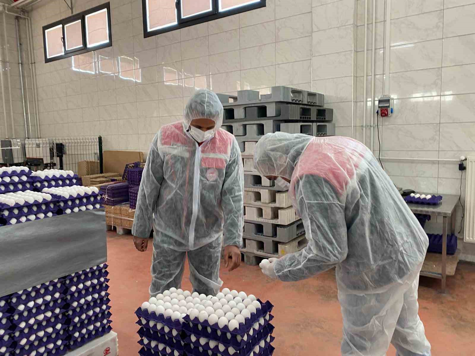 Afyon'da gündem yumurta paketleri