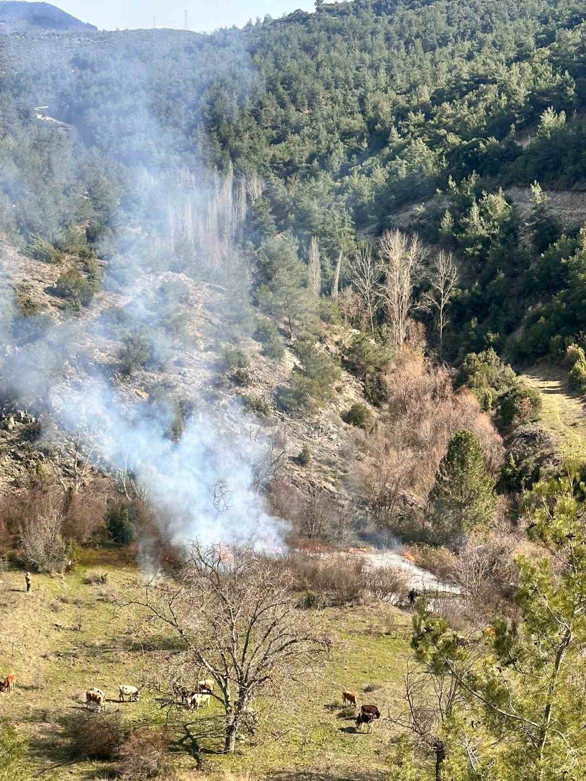 Bilecik'te orman yangını ihbarı ortalığı karıştırdı