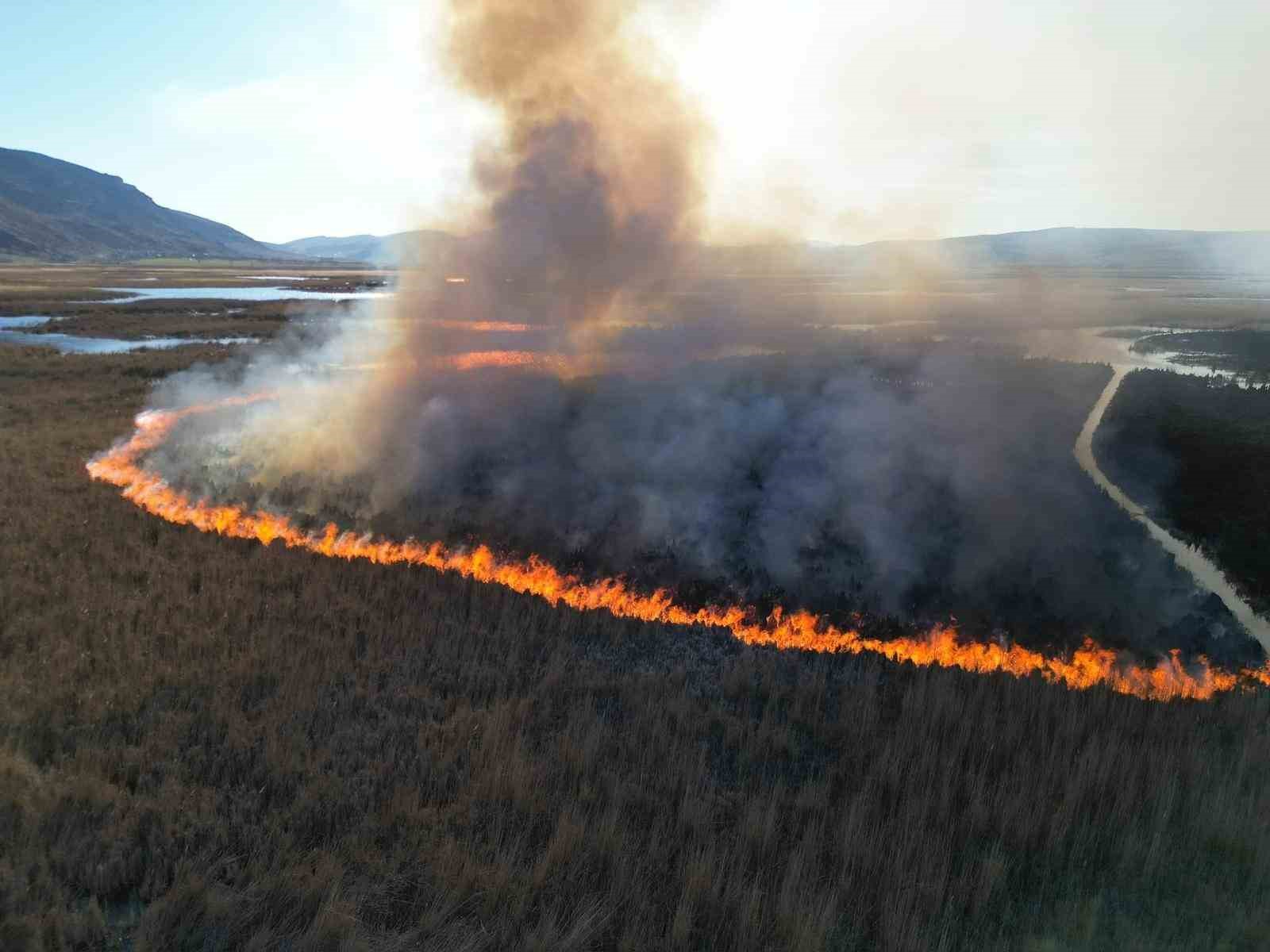 Gölün bitki örtüsü yandı