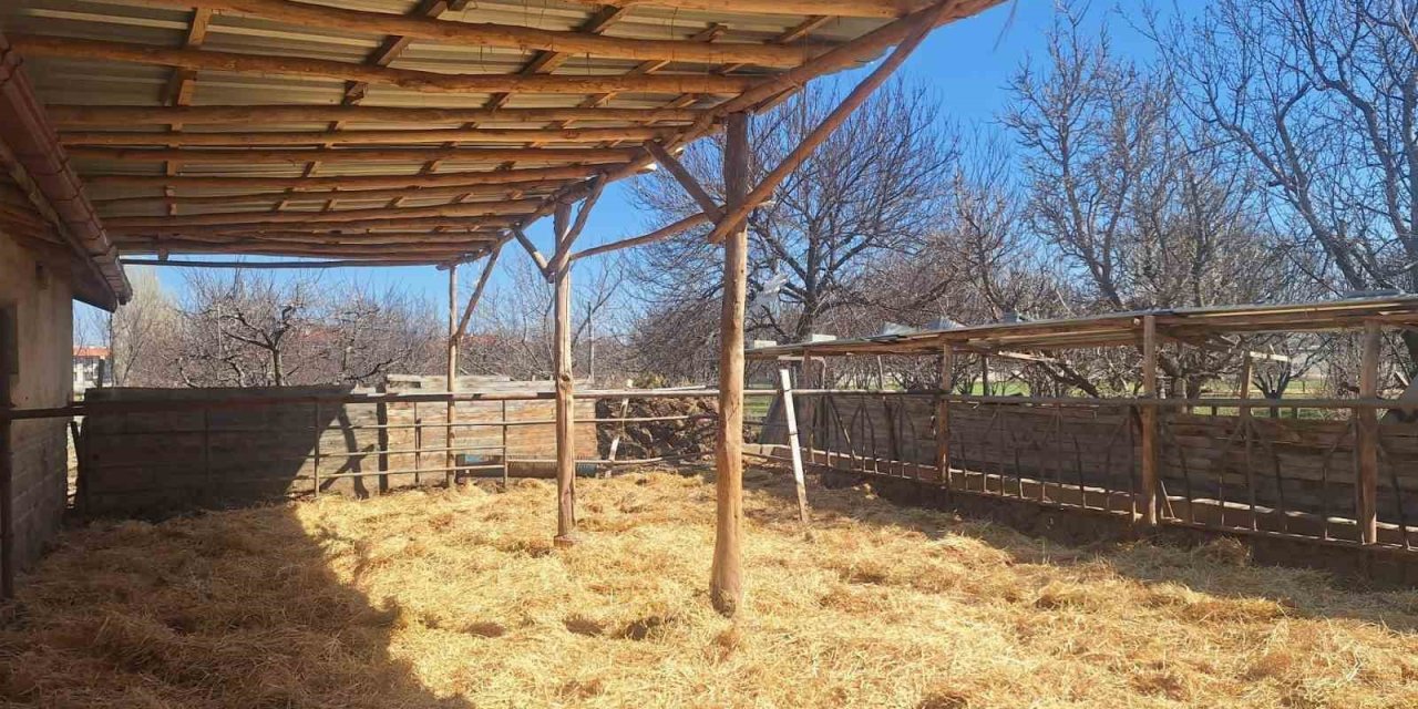 Hijyen görüntüleri gündem oldu! Konya’da işletmeye inceleme