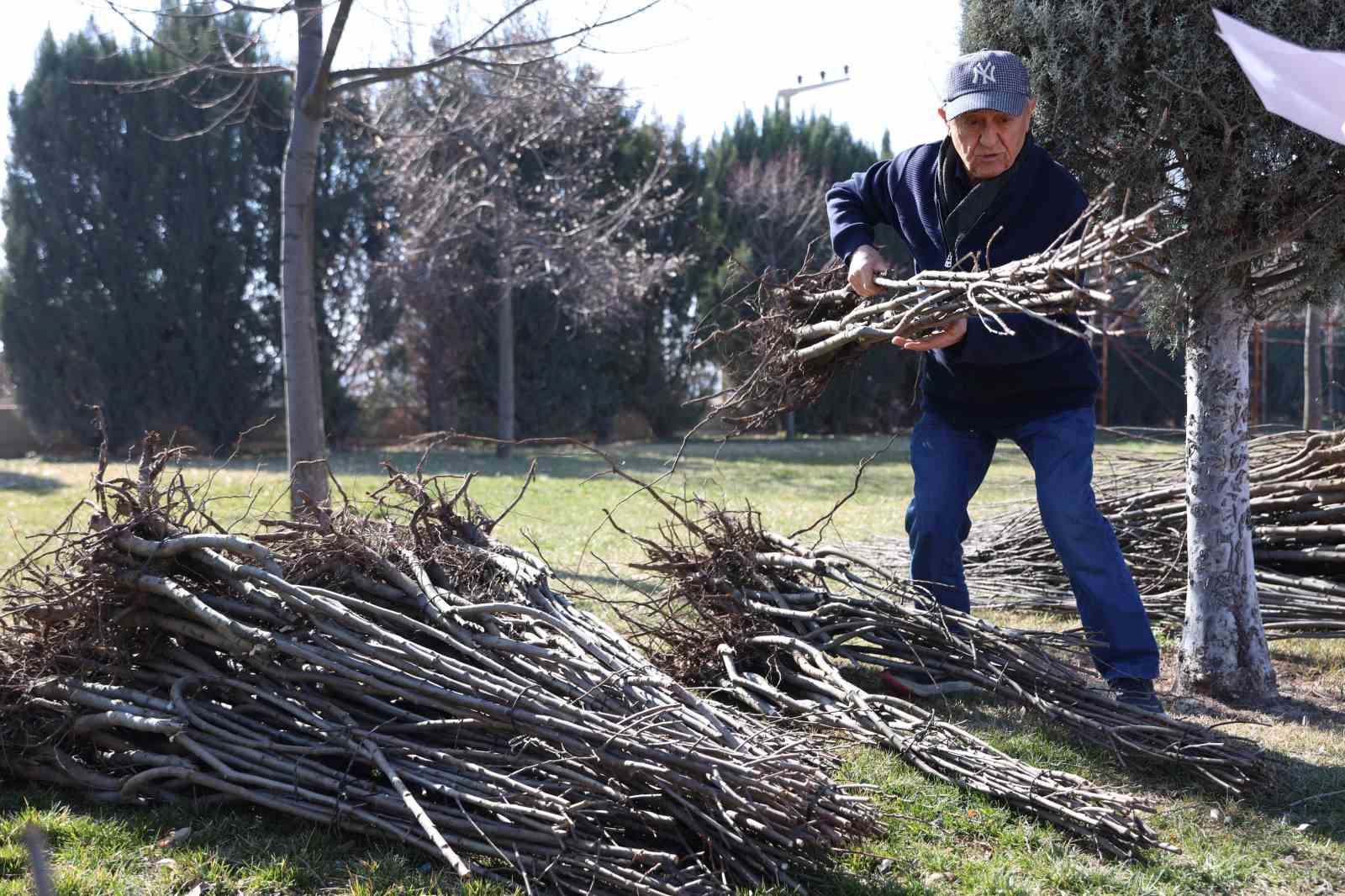 Konya'da 4 Farklı Fidan! Üreticinin Kartelası Genişliyor