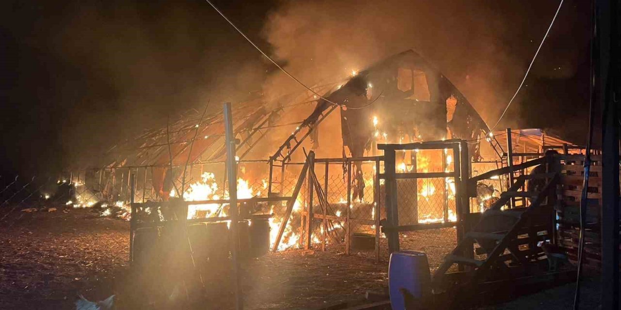 Çiftlikte büyük yangın! 580 kanatlı hayvan telef oldu