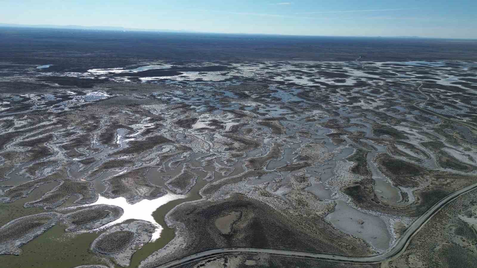 Tuz Gölü'nün Aksaray yakasında canlanma var