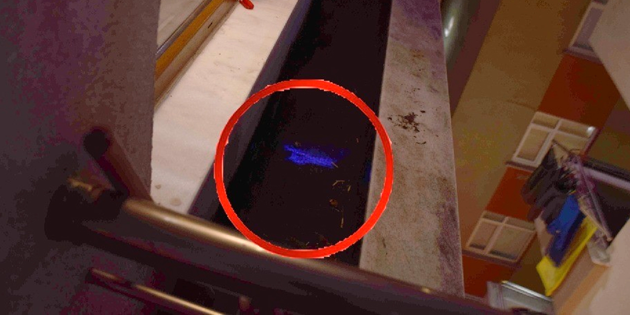 Maltepe’de 7 yıl sonra çözülen kayıp dosyası: Khurriyat Tursunboeva'yı öldürmüşler