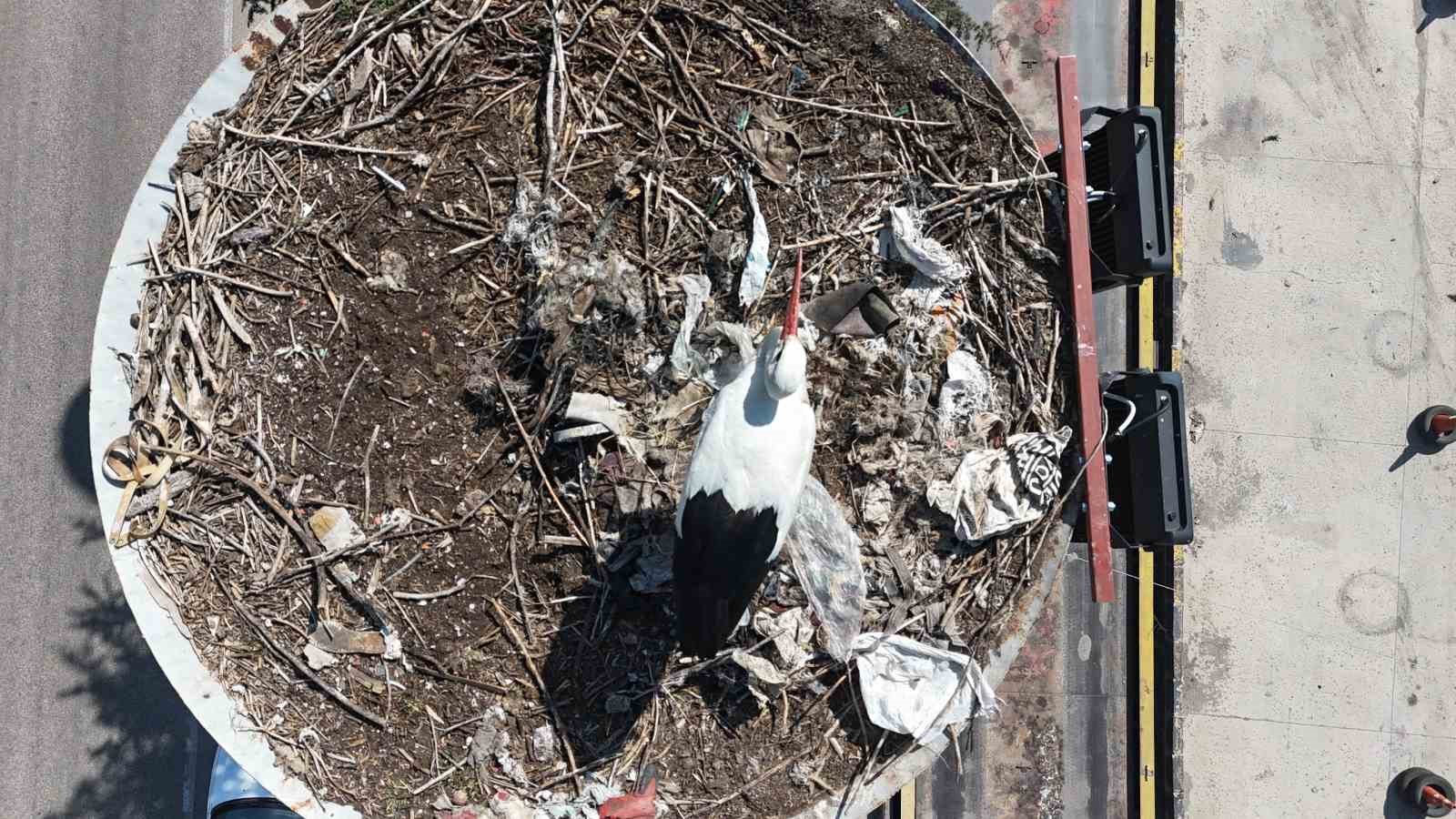 Ankara'ya bahar geldi