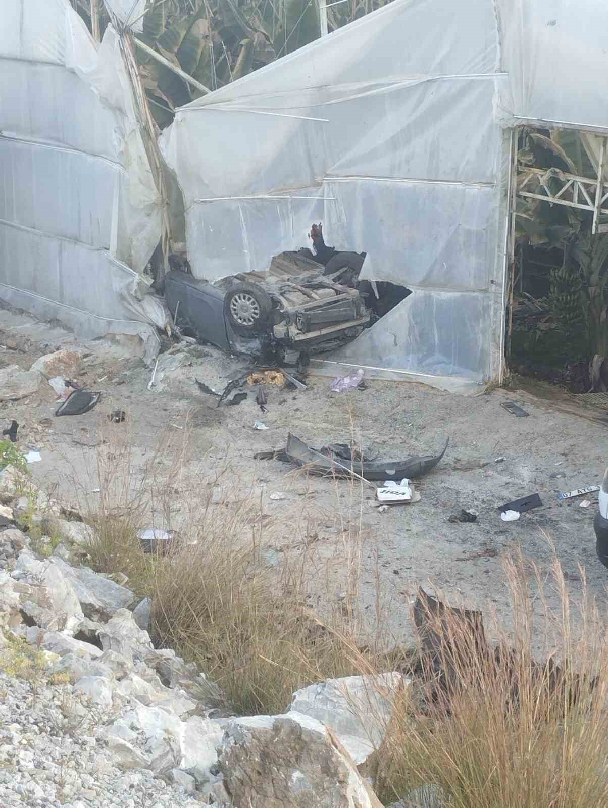 Muz bahçesine uçtu yaralı kurtuldu