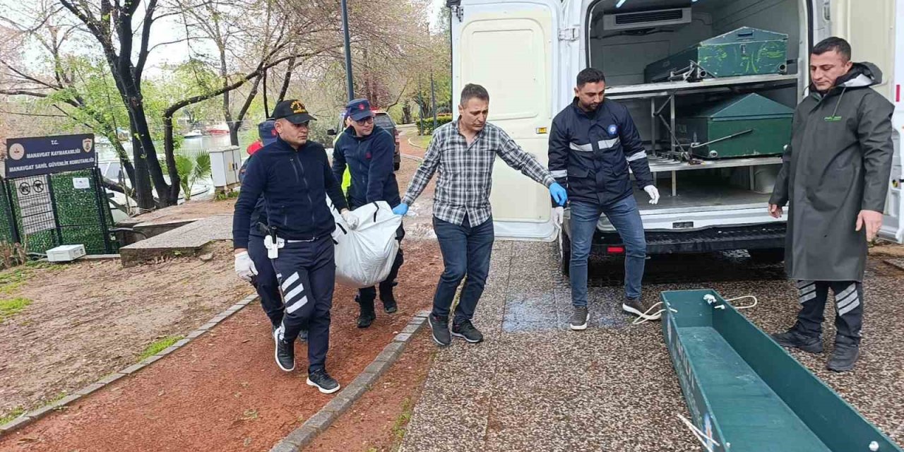 Yürüyüşe çıktı, dönemedi! Genç öğretmen adayı ölü bulundu