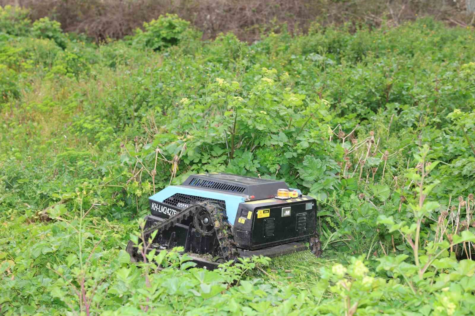 Kocaeli'deki belediyede yeni dönem! Otları robot biçecek