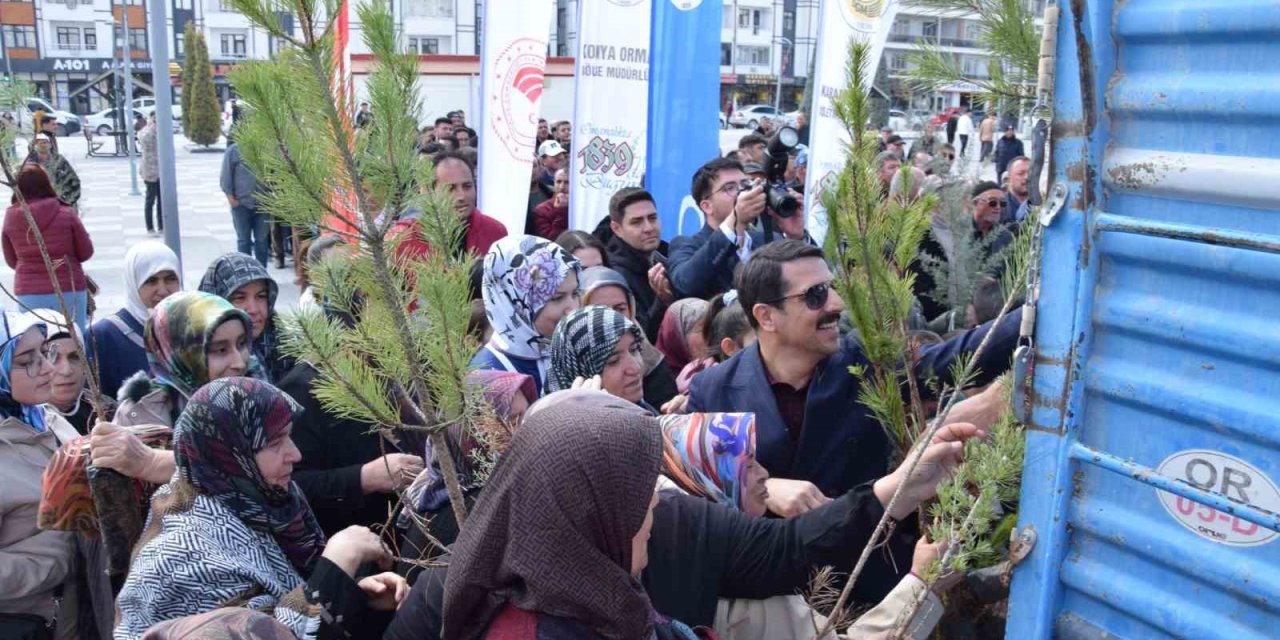 Karapınar’da Yeşil Seferberlik: Binlerce Fidan Toprakla Buluşuyor
