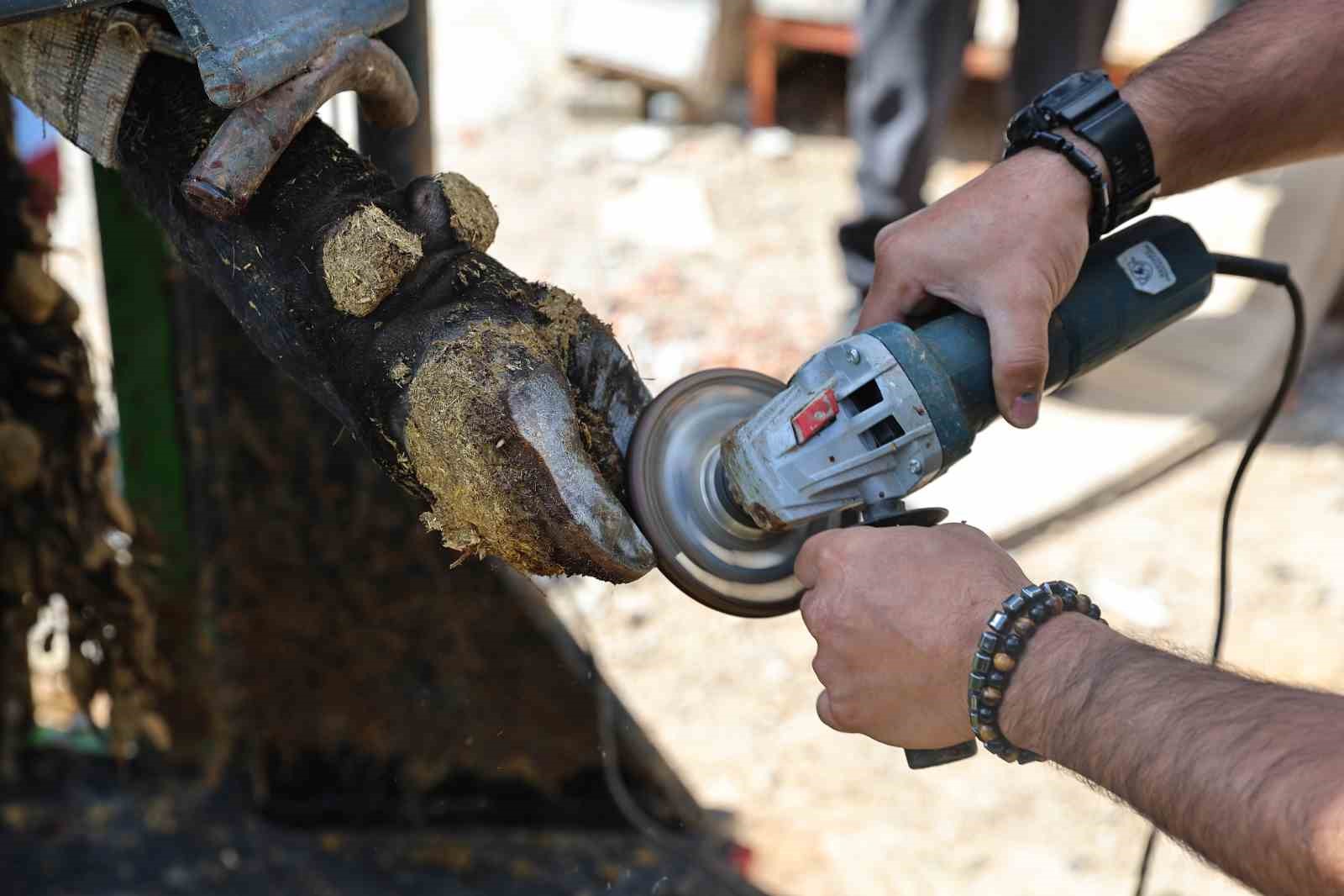 Dağın başına gidip tırnak bakımı yaptılar