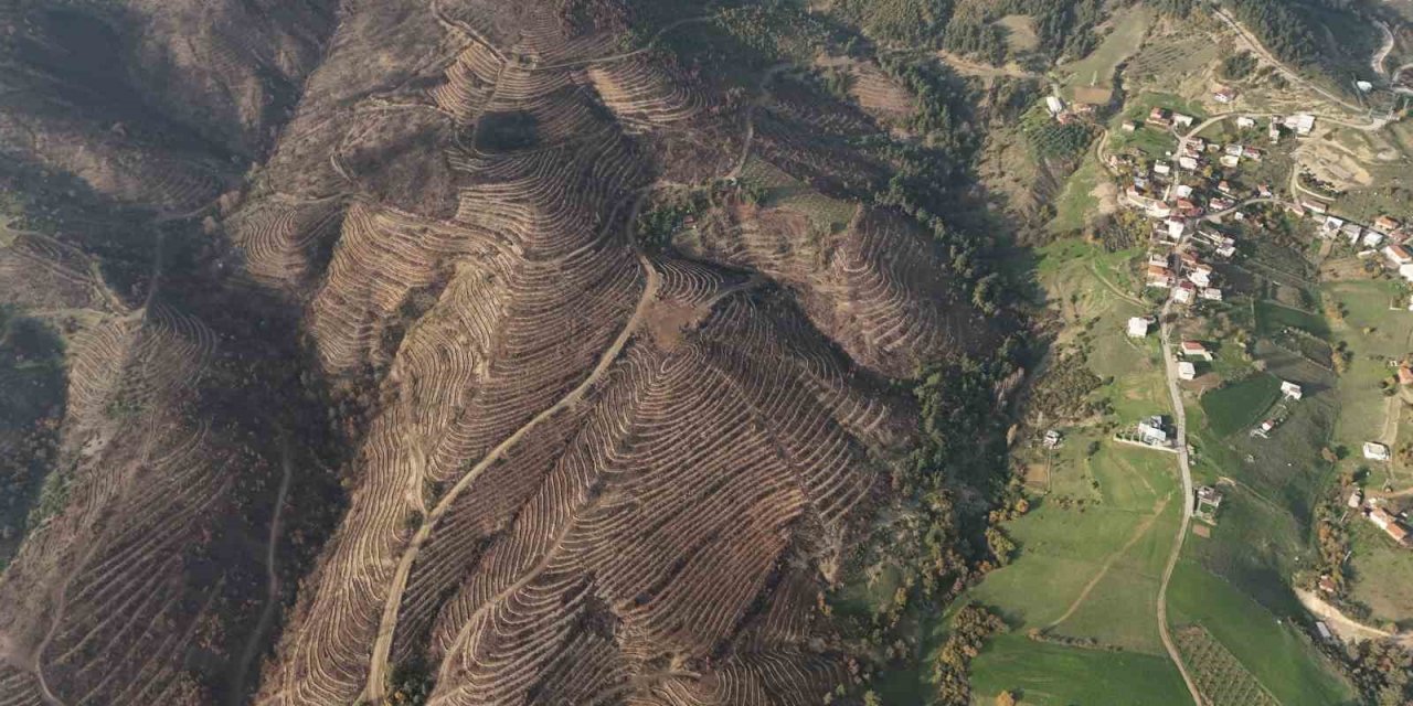 Küllerinden doğan şehir: Dağlar nakış gibi işlendi