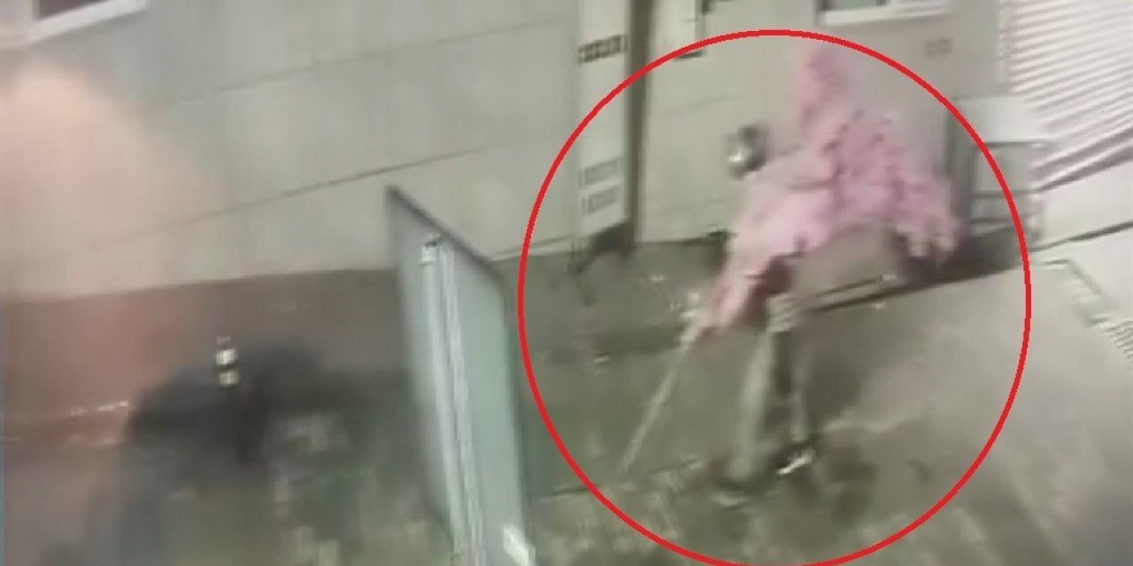 15 bin liralık ağacı sırtlayıp gitti