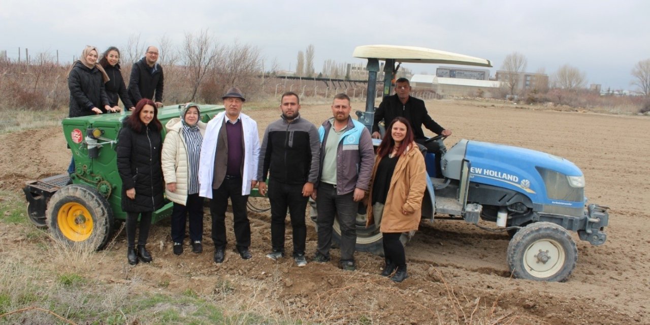 Niğde'de Tarıma Kadın İmzası! 5 Dekarlık Alanda Çörek Otu Ekildi