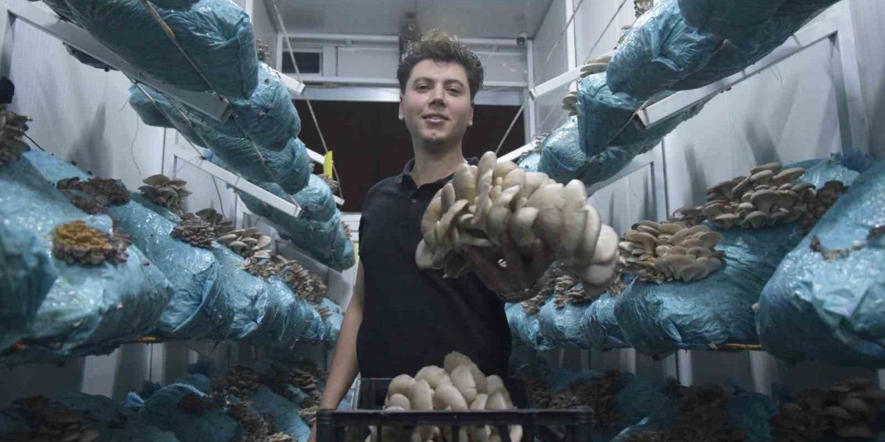 Genç Avukatın Büyük Başarısı: Dev Mantar Tesisi Kurdu!