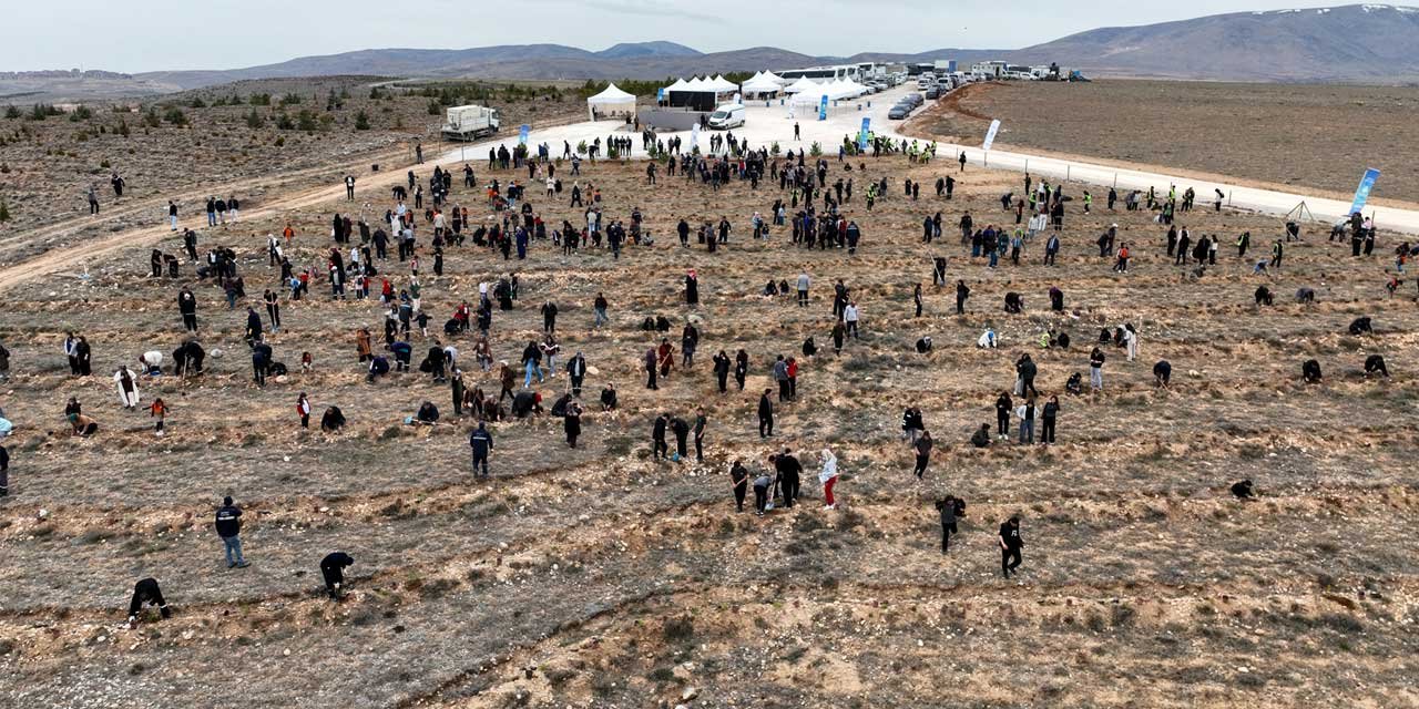 Konyalılar Dokuz Mahallesi’ne akın etti! 9 bin 400 fidan dikildi