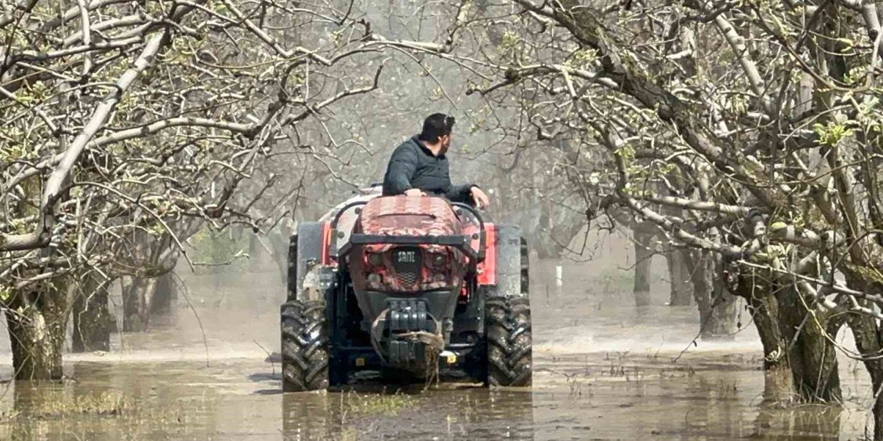 Bursa şeftalileri sular altında kaldı